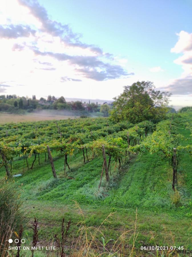 Agriturismo Al Dugale Lazise Kültér fotó