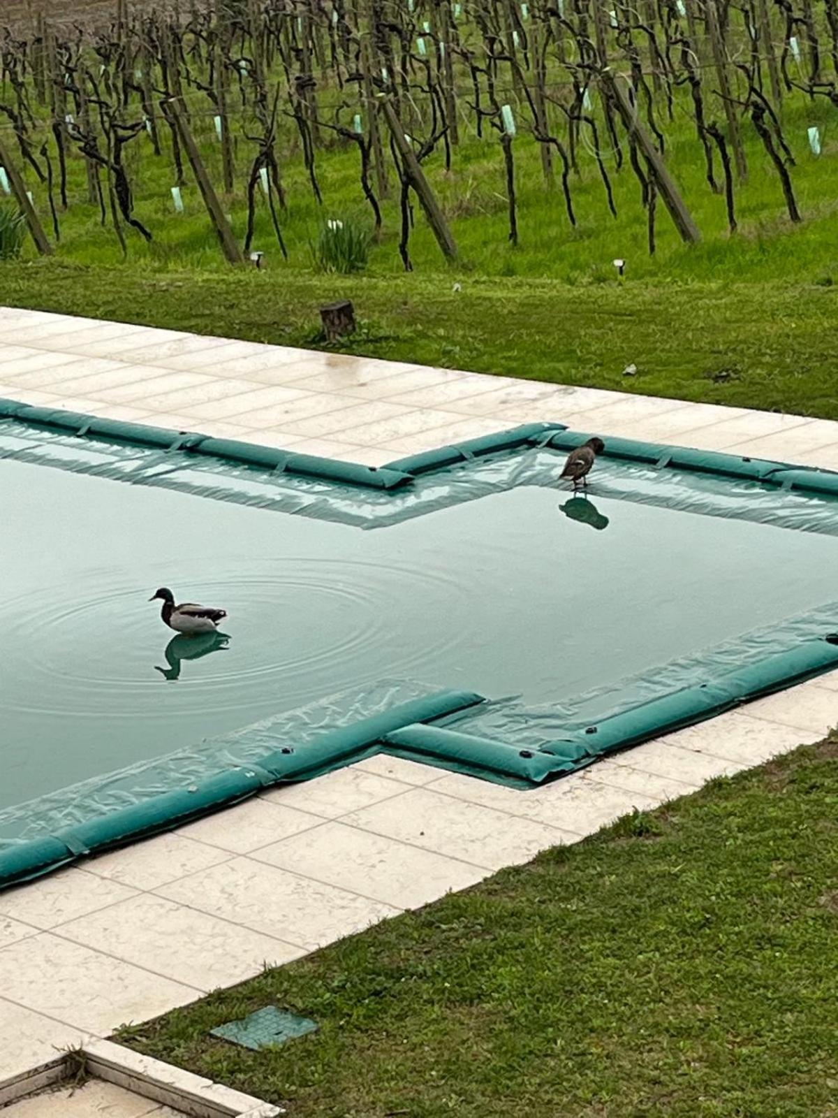 Agriturismo Al Dugale Lazise Kültér fotó